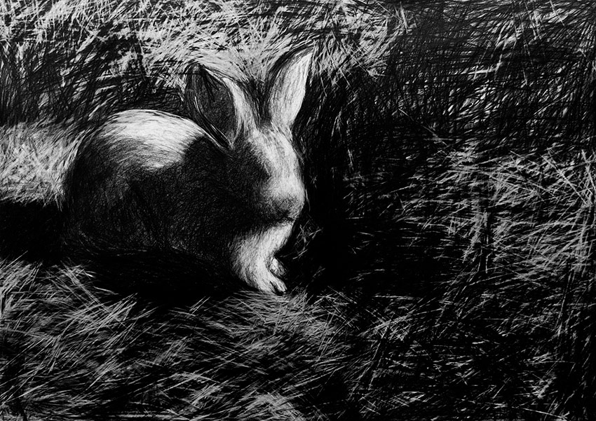 The Helpless Rabbit