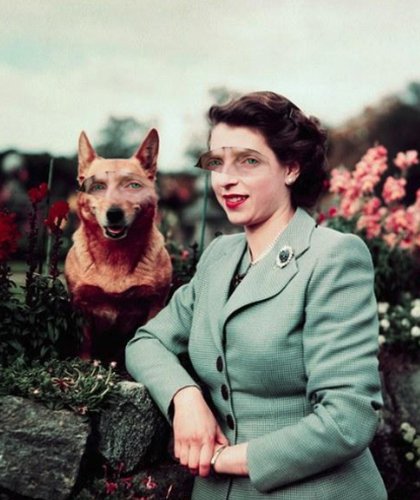 The Invisible Woman Meets... One Queen And Her Dog